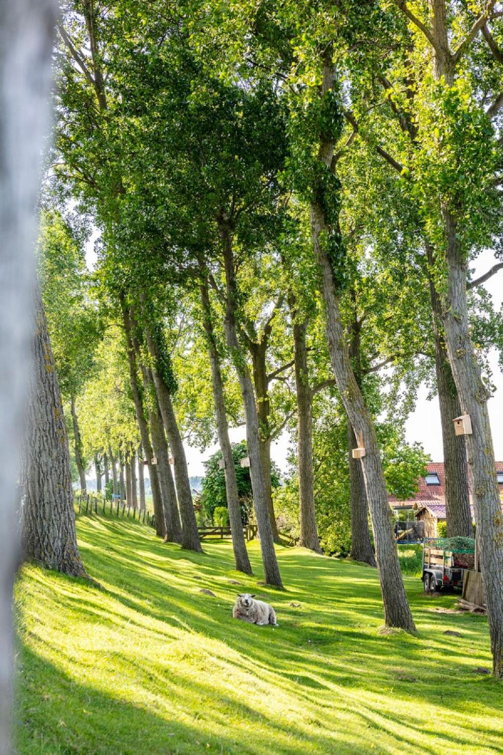 Holiday Home Polderzicht By Interhome Zuid-Beijerland ภายนอก รูปภาพ
